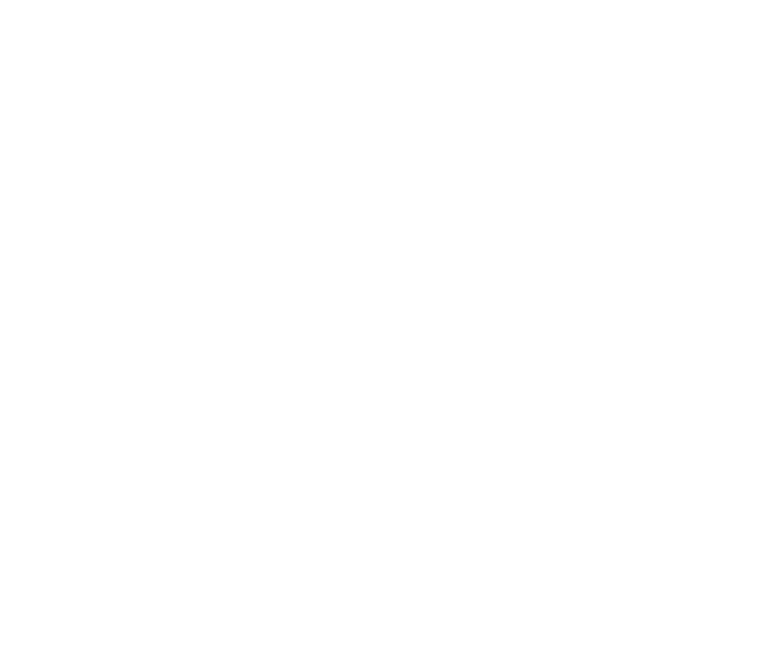 TNAttachments Logo Watermark